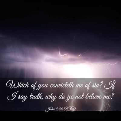 Picture 03 - John 8:46 ASV - Which of you convicteth me of sin? If I say - Bible Verse Picture