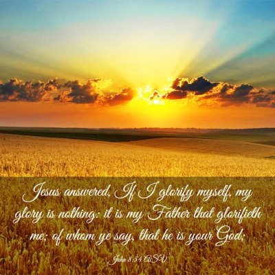 Picture 03 - John 8:54 ASV - Jesus answered, If I glorify myself, my glory is - Bible Verse Picture