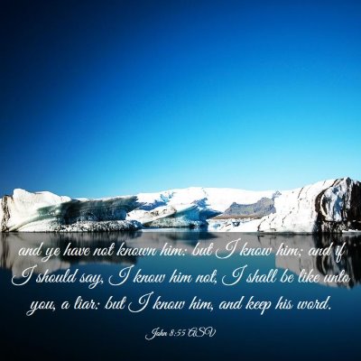 Picture 03 - John 8:55 ASV - and ye have not known him: but I know him; and if - Bible Verse Picture