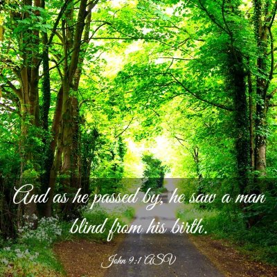 Picture 03 - John 9:1 ASV - And as he passed by, he saw a man blind from his - Bible Verse Picture