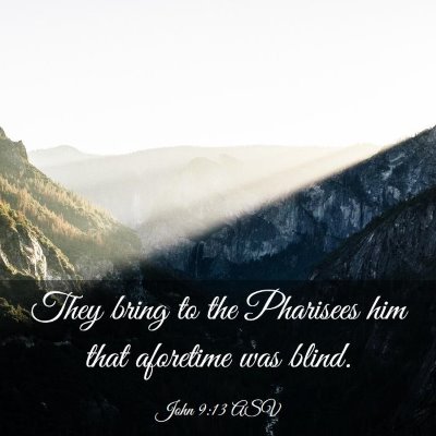 Picture 03 - John 9:13 ASV - They bring to the Pharisees him that aforetime - Bible Verse Picture
