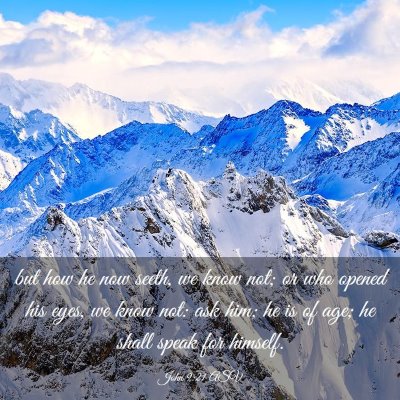 Picture 03 - John 9:21 ASV - but how he now seeth, we know not; or who opened - Bible Verse Picture