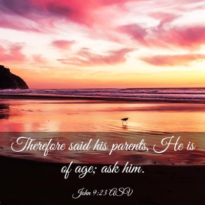 Picture 03 - John 9:23 ASV - Therefore said his parents, He is of age; ask - Bible Verse Picture