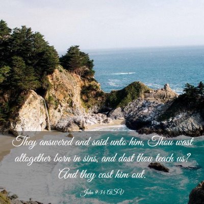 Picture 03 - John 9:34 ASV - They answered and said unto him, Thou wast - Bible Verse Picture