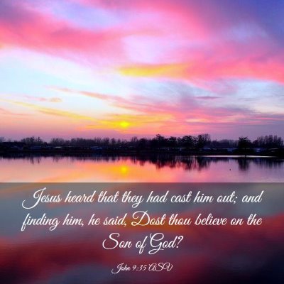 Picture 03 - John 9:35 ASV - Jesus heard that they had cast him out; and - Bible Verse Picture