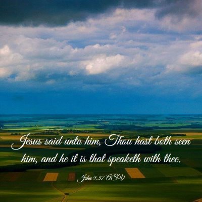 Picture 03 - John 9:37 ASV - Jesus said unto him, Thou hast both seen him, and - Bible Verse Picture