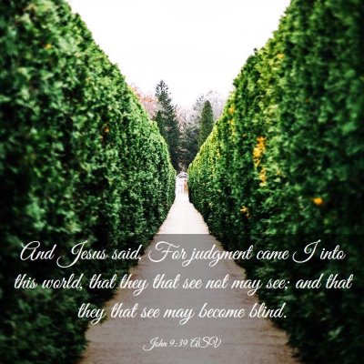 Picture 03 - John 9:39 ASV - And Jesus said, For judgment came I into this - Bible Verse Picture