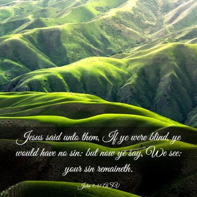 Picture 03 - John 9:41 ASV - Jesus said unto them, If ye were blind, ye would - Bible Verse Picture
