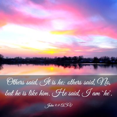 Picture 03 - John 9:9 ASV - Others said, It is he: others said, No, but he is - Bible Verse Picture