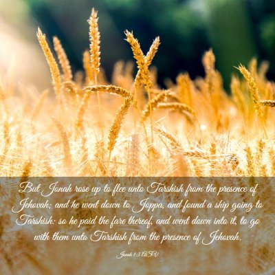 Picture 03 - Jonah 1:3 ASV - But Jonah rose up to flee unto Tarshish from the - Bible Verse Picture