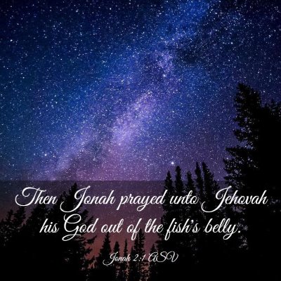 Picture 03 - Jonah 2:1 ASV - Then Jonah prayed unto Jehovah his God out of the - Bible Verse Picture