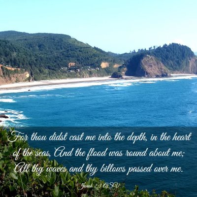 Picture 03 - Jonah 2:3 ASV - For thou didst cast me into the depth, in the - Bible Verse Picture