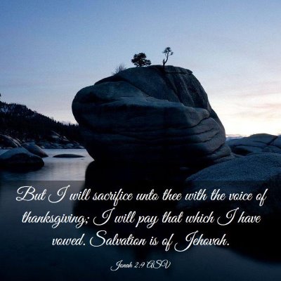 Picture 03 - Jonah 2:9 ASV - But I will sacrifice unto thee with the voice of - Bible Verse Picture