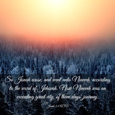 Picture 03 - Jonah 3:3 ASV - So Jonah arose, and went unto Nineveh, according - Bible Verse Picture