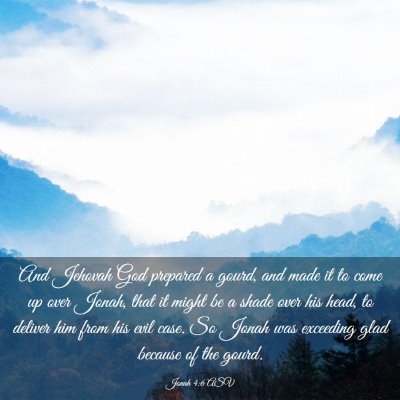 Picture 03 - Jonah 4:6 ASV - And Jehovah God prepared a gourd, and made it to - Bible Verse Picture