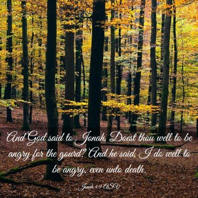 Picture 03 - Jonah 4:9 ASV - And God said to Jonah, Doest thou well to be - Bible Verse Picture