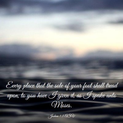 Picture 03 - Joshua 1:3 ASV - Every place that the sole of your foot shall - Bible Verse Picture