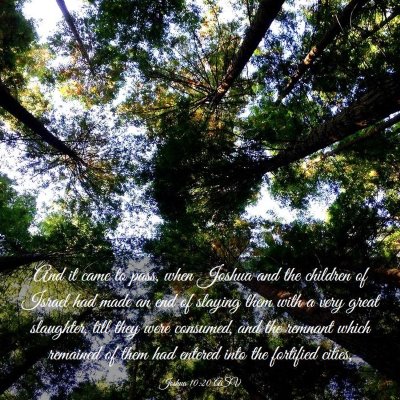 Picture 03 - Joshua 10:20 ASV - And it came to pass, when Joshua and the children - Bible Verse Picture