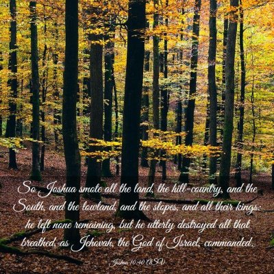 Picture 03 - Joshua 10:40 ASV - So Joshua smote all the land, the hill-country, - Bible Verse Picture