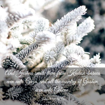Picture 03 - Joshua 10:41 ASV - And Joshua smote them from Kadesh-barnea even - Bible Verse Picture