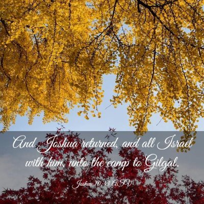 Picture 03 - Joshua 10:43 ASV - And Joshua returned, and all Israel with him, - Bible Verse Picture