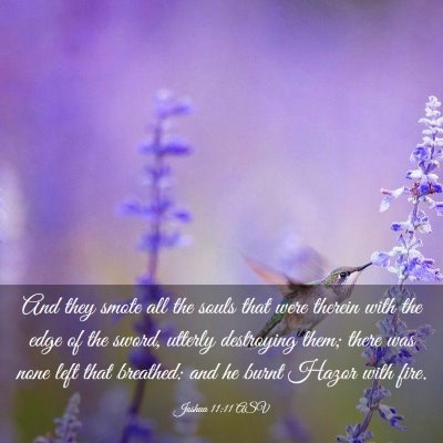 Picture 03 - Joshua 11:11 ASV - And they smote all the souls that were therein - Bible Verse Picture