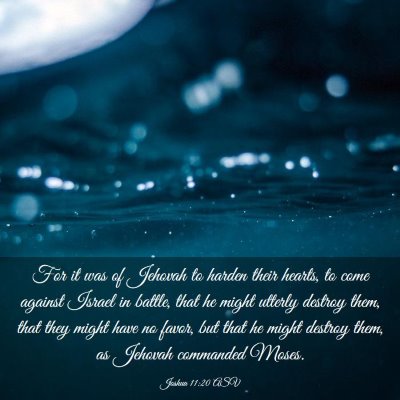 Picture 03 - Joshua 11:20 ASV - For it was of Jehovah to harden their hearts, to - Bible Verse Picture