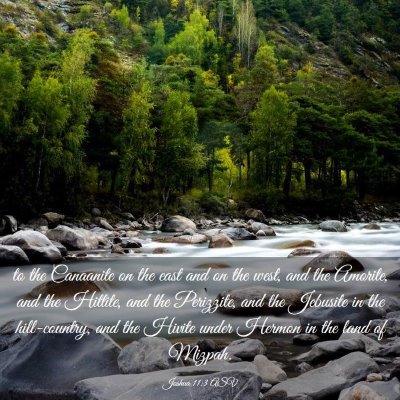 Picture 03 - Joshua 11:3 ASV - to the Canaanite on the east and on the west, and - Bible Verse Picture