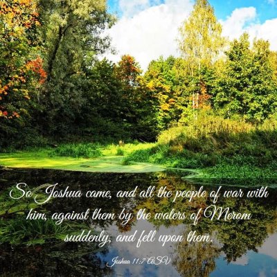 Picture 03 - Joshua 11:7 ASV - So Joshua came, and all the people of war with - Bible Verse Picture