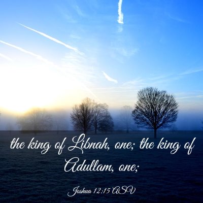 Picture 03 - Joshua 12:15 ASV - the king of Libnah, one; the king of Adullam, - Bible Verse Picture