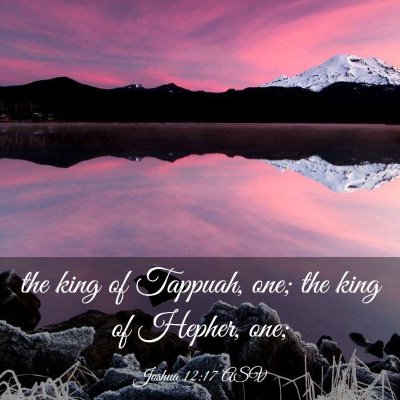 Picture 03 - Joshua 12:17 ASV - the king of Tappuah, one; the king of Hepher, - Bible Verse Picture