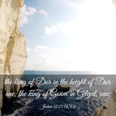 Picture 03 - Joshua 12:23 ASV - the king of Dor in the height of Dor, one; the - Bible Verse Picture