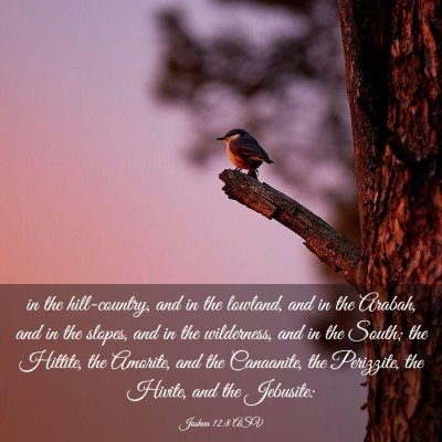Picture 03 - Joshua 12:8 ASV - in the hill-country, and in the lowland, and in - Bible Verse Picture