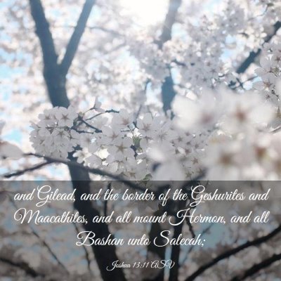 Picture 03 - Joshua 13:11 ASV - and Gilead, and the border of the Geshurites and - Bible Verse Picture
