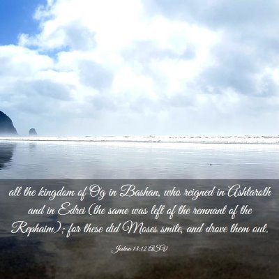 Picture 03 - Joshua 13:12 ASV - all the kingdom of Og in Bashan, who reigned in - Bible Verse Picture