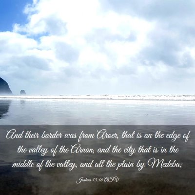 Picture 03 - Joshua 13:16 ASV - And their border was from Aroer, that is on the - Bible Verse Picture