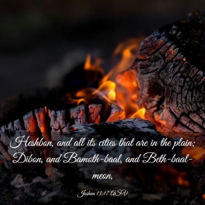 Picture 03 - Joshua 13:17 ASV - Heshbon, and all its cities that are in the - Bible Verse Picture