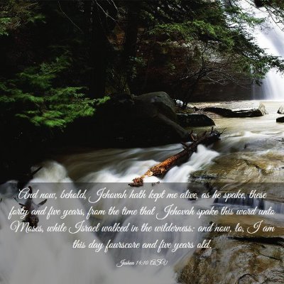 Picture 03 - Joshua 14:10 ASV - And now, behold, Jehovah hath kept me alive, as - Bible Verse Picture
