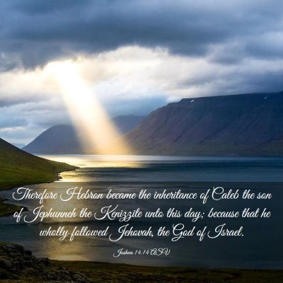 Picture 03 - Joshua 14:14 ASV - Therefore Hebron became the inheritance of Caleb - Bible Verse Picture