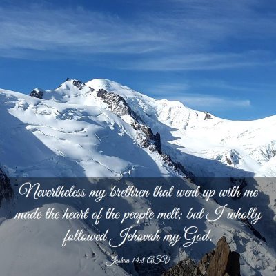 Picture 03 - Joshua 14:8 ASV - Nevertheless my brethren that went up with me - Bible Verse Picture