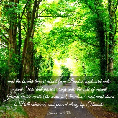 Picture 03 - Joshua 15:10 ASV - and the border turned about from Baalah westward - Bible Verse Picture