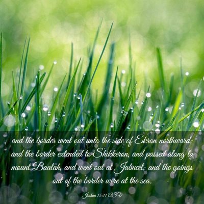 Picture 03 - Joshua 15:11 ASV - and the border went out unto the side of Ekron - Bible Verse Picture