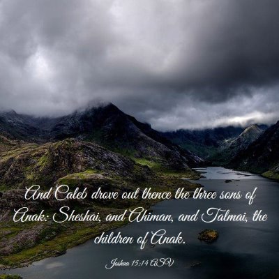 Picture 03 - Joshua 15:14 ASV - And Caleb drove out thence the three sons of - Bible Verse Picture