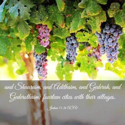 Picture 03 - Joshua 15:36 ASV - and Shaaraim, and Adithaim, and Gederah, and - Bible Verse Picture