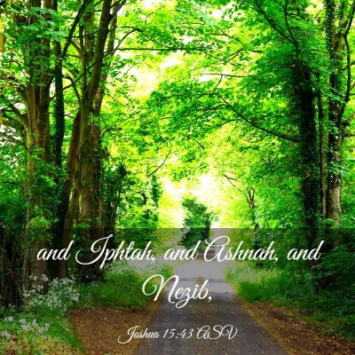 Picture 03 - Joshua 15:43 ASV - and Iphtah, and Ashnah, and - Bible Verse Picture
