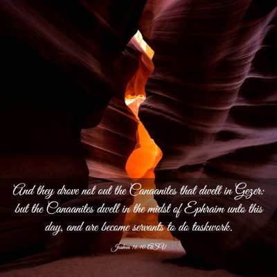 Picture 03 - Joshua 16:10 ASV - And they drove not out the Canaanites that dwelt - Bible Verse Picture