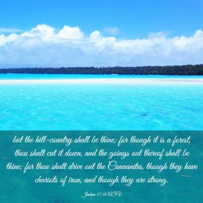 Picture 03 - Joshua 17:18 ASV - but the hill-country shall be thine; for though - Bible Verse Picture