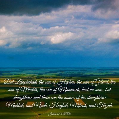 Picture 03 - Joshua 17:3 ASV - But Zelophehad, the son of Hepher, the son of - Bible Verse Picture