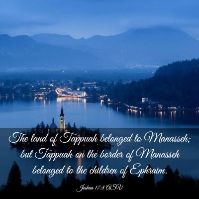 Picture 03 - Joshua 17:8 ASV - The land of Tappuah belonged to Manasseh; but - Bible Verse Picture