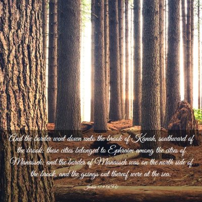 Picture 03 - Joshua 17:9 ASV - And the border went down unto the brook of Kanah, - Bible Verse Picture